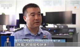 胖猫姐姐前夫爆料视频,揭秘惊人内幕